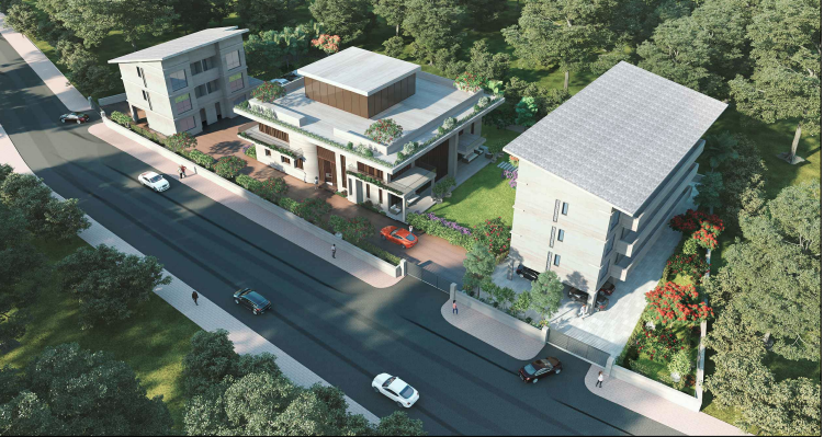 Project Image 2